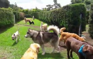 Felices nuestros chiquitines