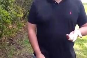 Diego nos elige siempre para las terapias de su labrador Mateo ¡Visítanos!