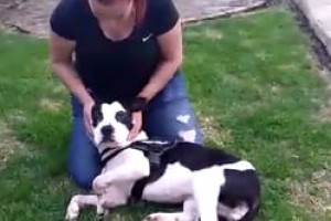 Kiara iniciando sus terapias