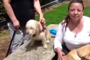 El espacio ideal para Dango y Tomy