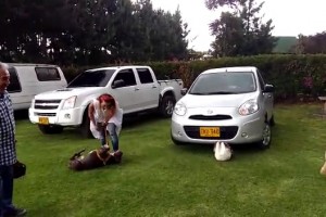 Disfruten momentos únicos con sus hijos de 4 patas