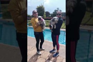 Un fin de semana de sol piscina y amigos